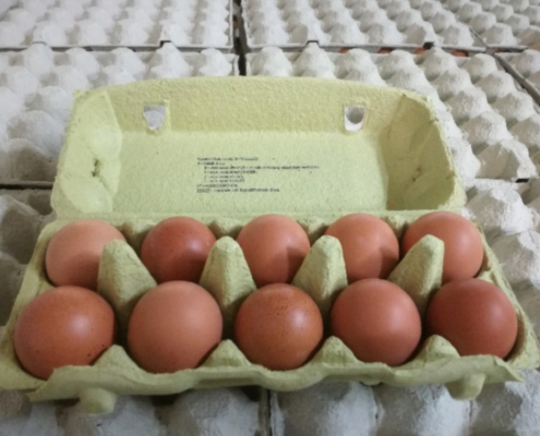 Čerstvá vejce 10 ks